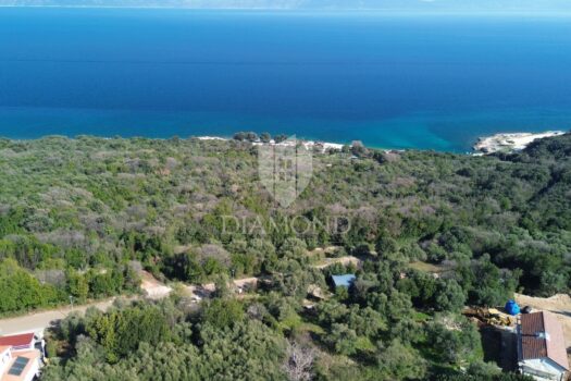 1772804282 dji 0738