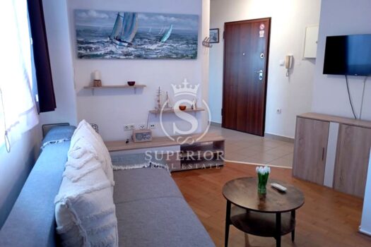 1772819229 superior retus 43