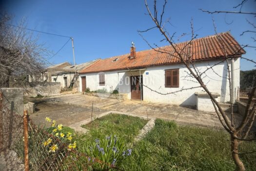 1773058436 bb257376 c0ee 4ce7 86e8 ebaf2ba36029