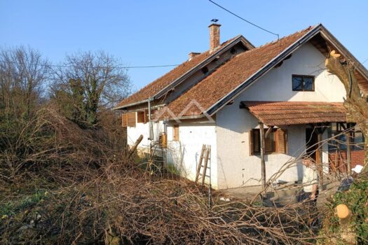 1773228383 photo 2026 03 11 12 24 36