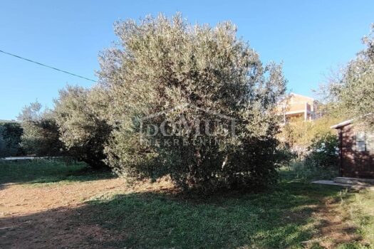 1773306087 whatsapp slika 2025 11 12 u 09