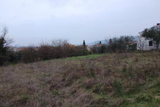 1773315574 thumbnail 1