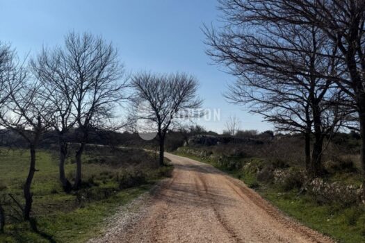 1773609171 3d3d9a50 b23d 4dac 96b0 ba6f19b258b5