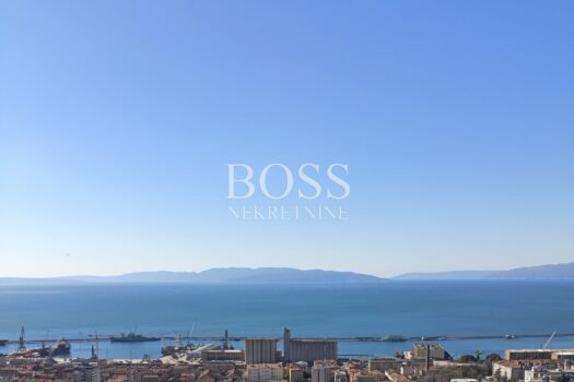 1773662451 7ccf9df9 be2f 4364 b009 9c13c6d1a657