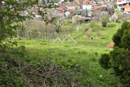 1774003892 whatsapp image 2026 03 20 at 11