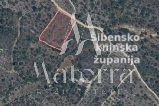 1774013700 whatsapp image 2026 03 19 at 13