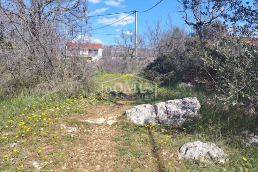 1774017751 whatsapp image 2026 03 20 at 14