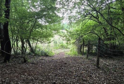 1774020072 poljoprivredna parcela sumom 24