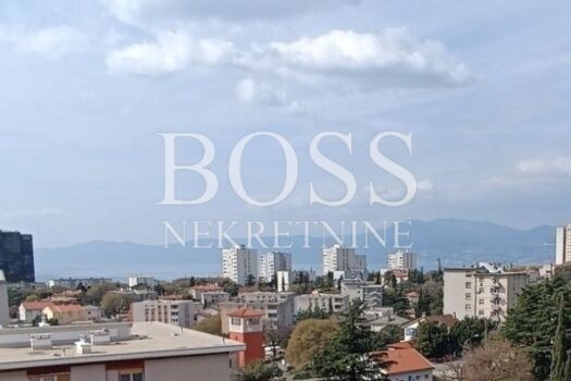 1774262077 img 1c3379e413caedd43e0ff6bef16ae712 v