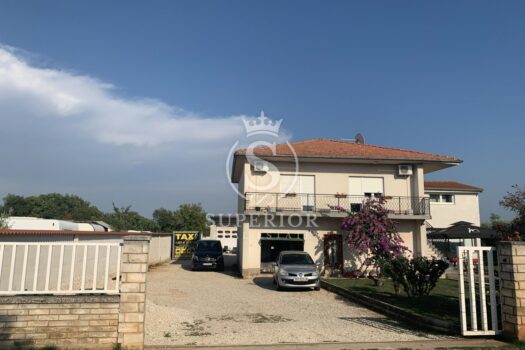 1774264363 451ea6f6 d231 4272 a2ad e64ec627b38a