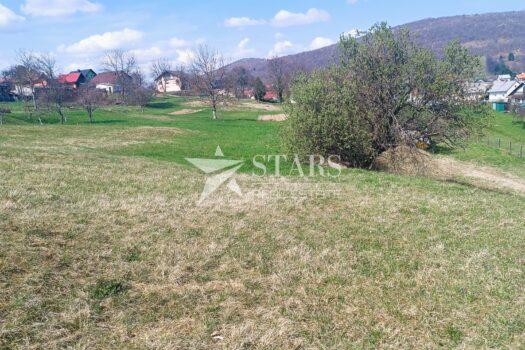 1774385372 img 20260315 121153