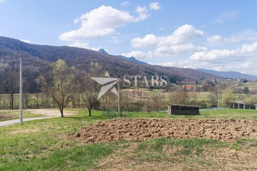 1774387060 img 20260315 123913