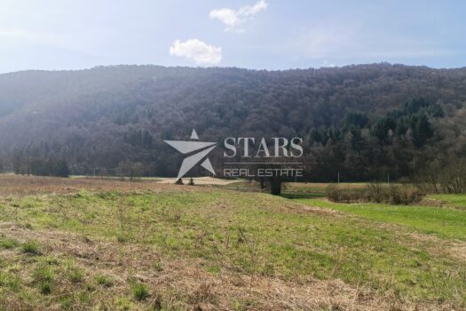 1774388253 img 20260315 113058