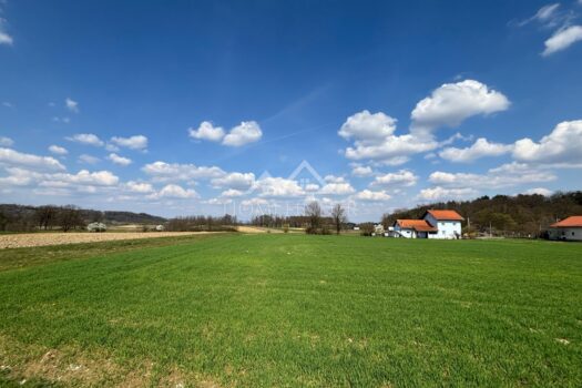 1774442561 whatsapp image 2026 03 25 at 13