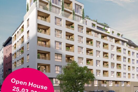 1AkdykawyKtGHVHUfvBudY