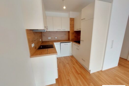 1BBbHAeLUQxDxeavYK5JpL