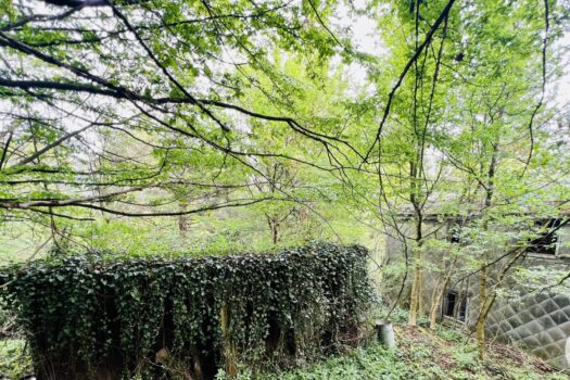 1Cb7dhS1wc1wvMcK7toJPq