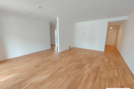 1CkJn3xcD2tytPv7JJfTHA