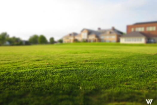 1EP1AfoRDOZq2jXA2NX5bh