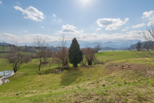 1HAXc2NHLSjF8auRUdRcPy