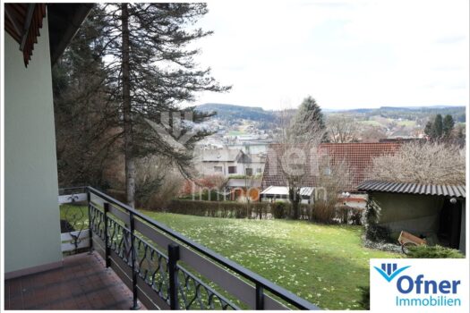 1KA0SExkFv1xNIHsnaOmWL