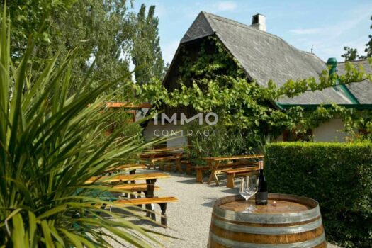 1KKEhrwhcgnvyqovxHVgqG