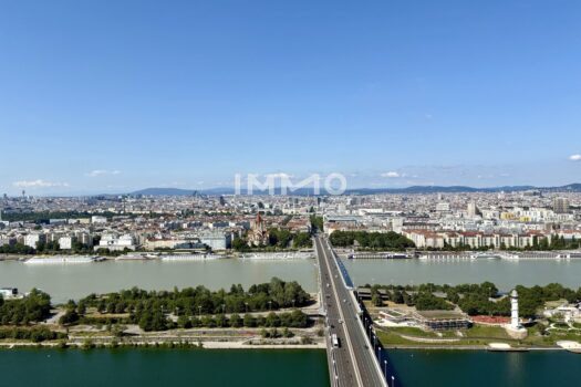 Ausblick Innere Stadt, Neue Donau