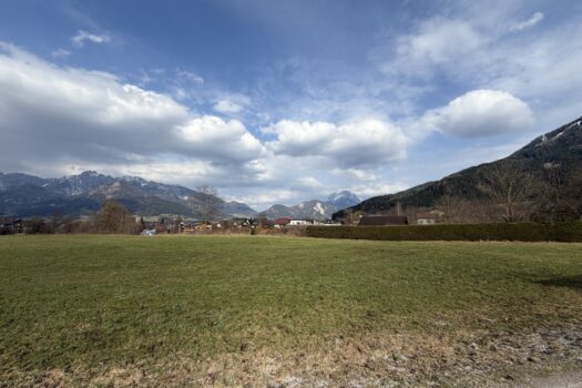 1MPZTzrNihpC4Z1c28icqV