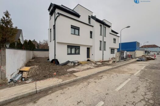 1Nb7jtieueZDickLb3l5Xv