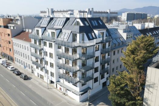 1NjQe4c5ZyNHDm8y5caZMD 1