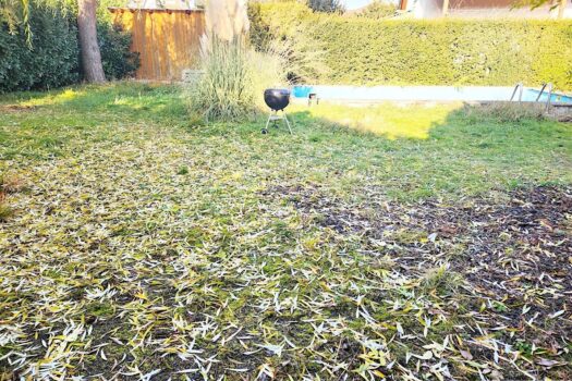 1QkgfLiAaGLEqVLswmfpYQ