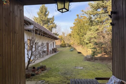 1RrNtGayyTBsxJnFv2qmL7