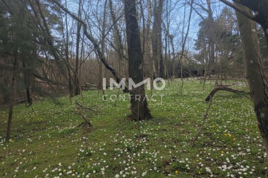 1UhkWVsNVdPtH0aKF5bqJN