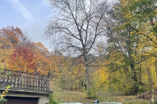 1WEG7FAOwHMgvXon4NN3wF 1