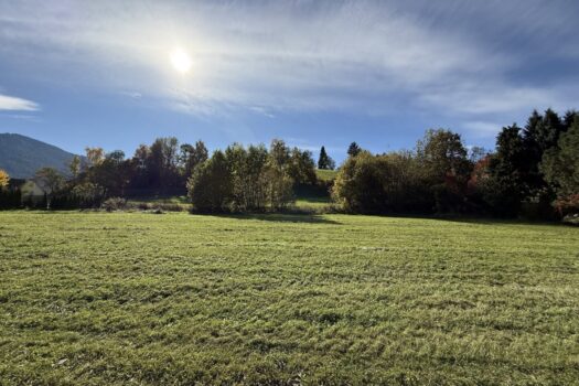 1Wz8jauKMCyzJbFDKy6s0L 1