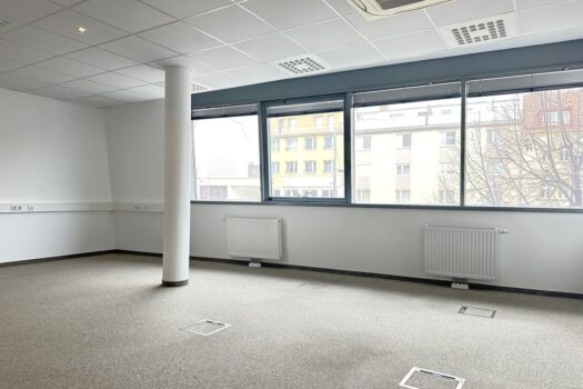 1XNZocOSweOcO3vG2quNVY