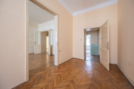 1ZeqxecEFQIhRGRmvdqR8W