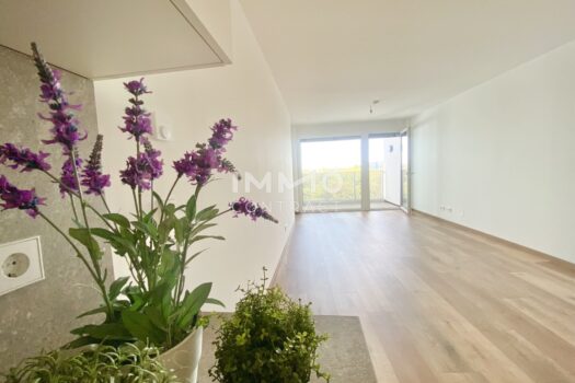 Wohnesszimmer mit Loggia