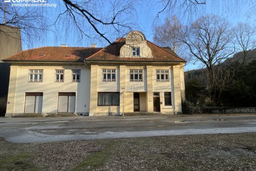 1d6vr5PVf6jiDKXzHZnplX