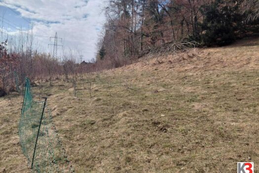 1fPizsetrFvwDoYSFaDapy