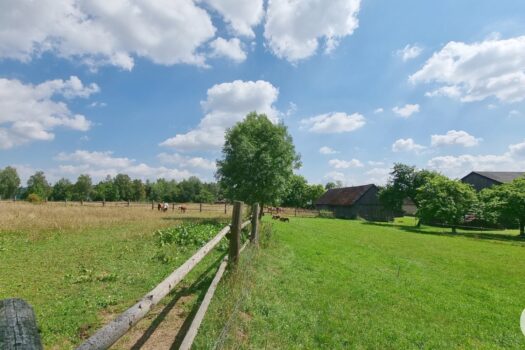 1gPB42TVeZrF2UYVjrF7Rw 2