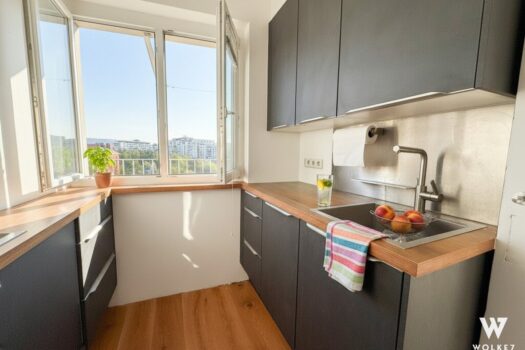 1h3uXc0RRVWaoczOpQrJiV