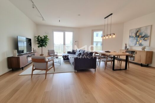 Visualisierung_Einrichtung