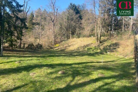 1sR7za60iSSwAVFmy66BH0