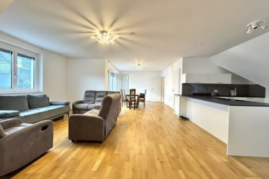 1vPTPbo22X0B6lwXzAVCZy 1