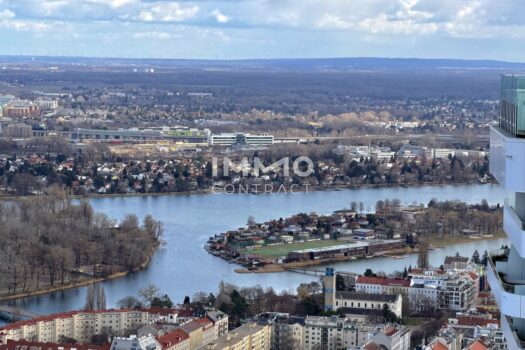 1vkhVpDQieruV8ak3XzMNk