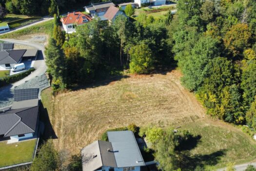 1voqMvNl2LX7Sip9EbmtyI