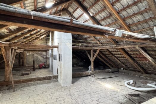 1wpEGLXaKNDUT1VkZL4ege