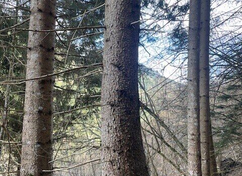 1xi4DXNdL3E48AUSX4nR0S