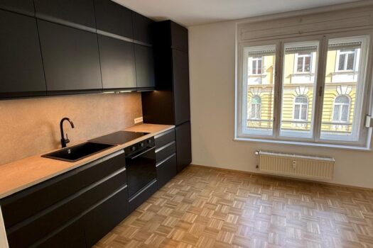 NEU möblierte Küche mit großem Essbereich